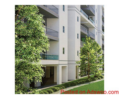 Flats in Faridabad — A Guide to Choosing The Perfect Home.