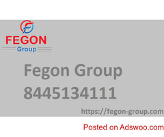 Fegon Group LLC | 844-513-4111 | Best Network Security