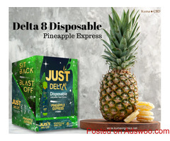 Are You Looking For Best Delta 8 Disposable 6 Pack Pineapple Express?