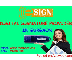 Professional Digital Signature Certificate Agency in Gurgaon