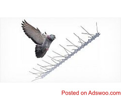 Bird Abatement Window Cleaners San Francisco