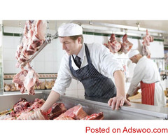 Kitchen chef wanted