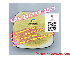 Greatest quality 2-Iodo-1-P-Tolyl Propan-1-One Powder CAS 236117-38-7 CAS 14680-51-4