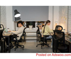 Wordpress Company in Dubai