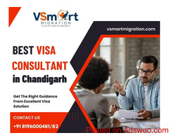 Best Visa Consultants in Chandigarh