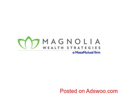 Financial Warrior | Magnolia Wealth Strategies