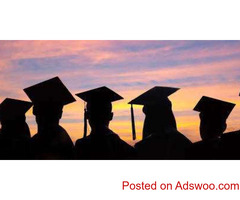 Why Choosing a B. Arch Course in Haryana Could be Your Gateway to a Promising Career