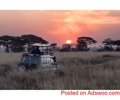 Discover the Best of Kenya's Wildlife with Ice Rock Trekking Safari Tours