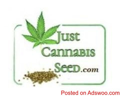 Grow Bibles, Medical Effects of Cannabis, ect