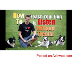 How to train the dog .Step by step Instruction !..