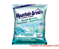Refreshing Your Breath the Green Way with Paper Mint Mouth Freshener