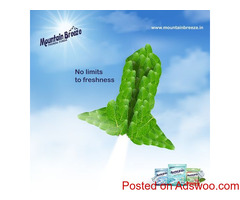 Refreshing Your Breath the Green Way with Paper Mint Mouth Freshener