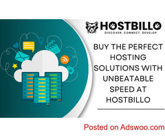 Buy the Perfect Hosting Solutions with Unbeatable Speed at Hostbillo