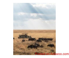 Ice Rock Trekking gives you the best Kenya safari tours