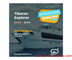 Galapagos Diving Packages