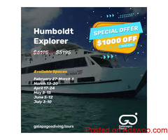 Diving In The Galapagos