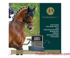 Benefits of equestrian wireless communication systems during training and competition