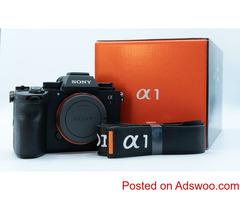 Sony a1 Mirrorless Camera