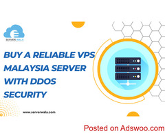 Buy a Reliable VPS Malaysia Server With DDoS Security