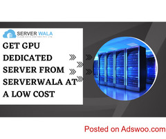 Get GPU Dedicated Server From Serverwala At a Low Cost