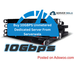 Buy 10GBPS Unmetered Dedicated Server From Serverwala