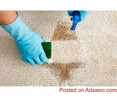 Say Goodbye to Carpet Stains with Professional Stain Removal Services