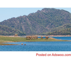 Corbett tour and travel