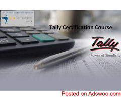 Tally Classes in Delhi, Shahdara, SLA Consultants India, Accounting, GST, SAP FICO