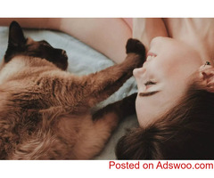 Why Is My Dog’s Paw Pad Swollen? - Veterinary Clinic in Mondovi, WI