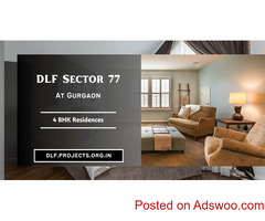 DLF Sector 77 Gurgaon - Love This Building! Love This Location!