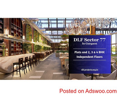 DLF Sector 77 Gurgaon - Love This Building! Love This Location!