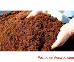 Searching for the best coconut coir for cannabis?