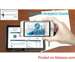 Best Business Analytics Certification in Delhi, Loni, 100% Job, SLA Institute