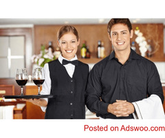 Bartener, waiter, cook,  cleaner needed