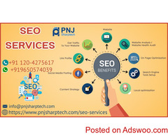 Best SEO Services Improve Your Website’s Ranking by PNJ Sharptech