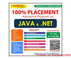 100% Placement Assistance Program On Java Developer & Dot Net - Naresh IT