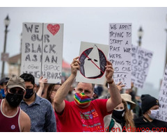 The Controversial Emails Leak Veronica Wus Denouncement of the Black Lives Matter Movement