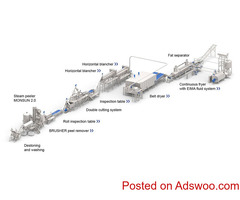 Frozen French Fries Production Line-Fry And Bake Technologies Pvt. Ltd.
