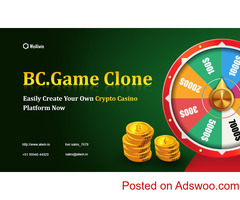 Pick out the Top BC Game Clone Script with WeAlwin