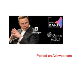 Elon Musk's AI startup: What's Next for Artificial Intelligence