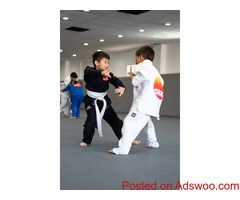 Best brazilian jiu jitsu school
