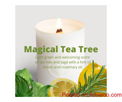 Tea Tree candle