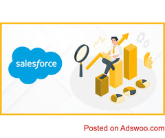 Renowned CRM Consulting Agency in Australia