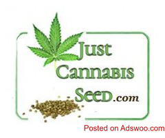 JCS Contests Win Free Cannabis Seeds.