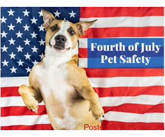Pet Fire Safety Day - Veterinarian in Tipp City, OH