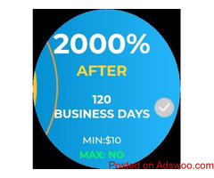fix income 2000% in 120 day