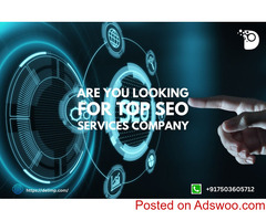Are you looking for Top SEO Services Company! -Delimp Technology