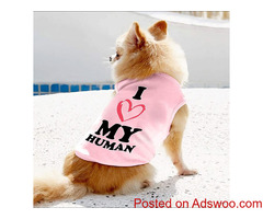 Text Design Dog Shirt