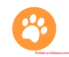 Find Pet Grooming in Chicago