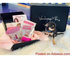Vanderpup Box